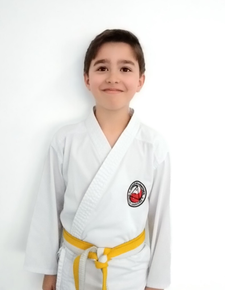 Martim Araújo 
